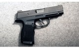 Sig Sauer ~ P365 XL ~ 9MM Luger - 1 of 2