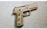 Sig Sauer ~ P320 ~ 9MM Luger - 1 of 2