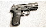 Sig Sauer ~ P320 ~ .40 S&W - 1 of 2