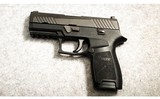 Sig Sauer ~ P320 ~ .40 S&W - 2 of 2