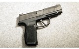 Sig Sauer ~ P365 XL ~ 9MM Luger - 1 of 2