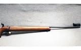 Remington ~ 513-T ~ .22 Long Right
