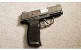 Sig Sauer ~ P365X ~ 9MM Luger - 1 of 2