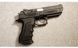 IWI ~ Baby Desert Eagle ~ 9MM Luger - 1 of 2