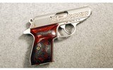 Walther ~ PPK/S ~ .380 ACP - 1 of 2