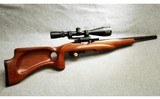 Kidd ~ Custom 10/22 ~ .22 Long Rifle - 1 of 6