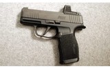 SIG Sauer ~ P365X ~ 9MM Luger - 2 of 2