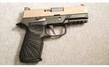 SIG Sauer ~ P320 ~ 9MM Luger - 1 of 2