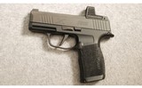SIG Sauer ~ P365X ~ 9MM Luger - 2 of 2