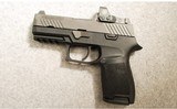 SIG Sauer ~ P320 ~ 9MM Luger - 2 of 2