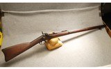 Springfield Armory ~ 1873 ~ .45-70 GOVT - 1 of 9