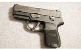 SIG Sauer ~ P250 ~ 9MM Luger - 2 of 2
