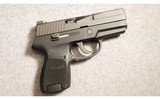 SIG Sauer ~ P250 ~ 9MM Luger - 1 of 2