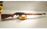 Remington ~ Nylon 66 ~ .22 Long Rifle