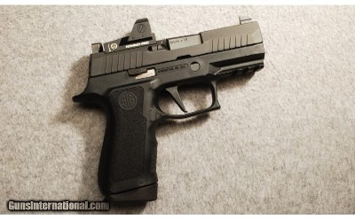 SIG Sauer ~ P320 ~ 9MM Luger
