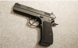 CZ ~ 97 BD ~ .45 ACP - 2 of 2