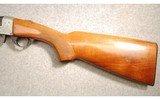 Eagle Arms ~ Companion ~ 12 Gauge - 5 of 7