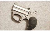 Bond Arms ~ Stinger RS ~ .380 ACP - 2 of 2