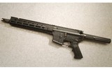 Bushmaster ~ XM15-E2S ~ .223 Wylde - 2 of 2