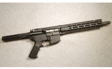 Bushmaster ~ XM15-E2S ~ .223 Wylde - 1 of 2