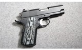 Dan Wesson ~ ECO ~ .45 ACP - 1 of 2