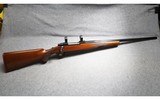 Ruger ~ M77 ~ .25-06 Remington - 1 of 7