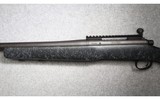 Remington ~ 700 ~ .300 Winchester Magnum - 6 of 7