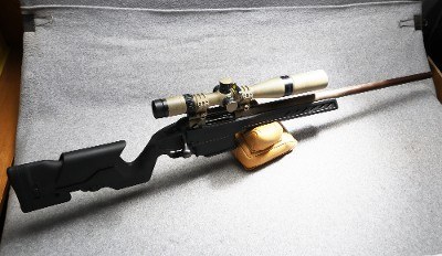 Savage ~ 12 ~ .223 Remington