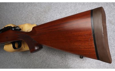 Remington ~ 700 ~ .375 H&H Magnum - Image 10 of 10