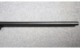 Remington ~ 700 ~ .17 Remington Fireball - 5 of 10
