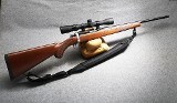 Ruger ~ 77/22 ~ .22 Long Rifle