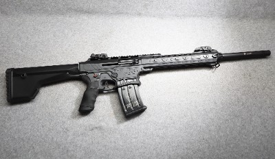 Typhoon Defense ~ F12 ~ 12 Gauge