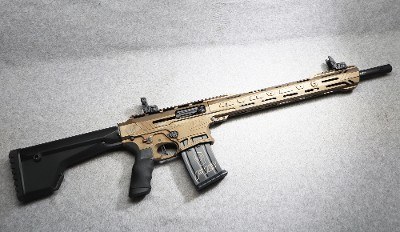 Typhoon Defense ~ F12 ~ 12 Gauge