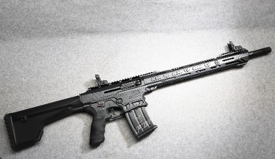 Typhoon Defense ~ F12 ~ 12 Gauge