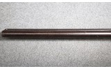 The Thornward SxS ~ 12 Gauge - 9 of 12