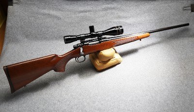 Remington ~ 700 ~ .250 Savage