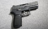SIG Sauer ~ P250 ~ 9MM Luger - 1 of 2