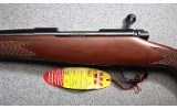 Winchester ~ 70 Cabelas Edition ~ .300 Winchester Magnum - 7 of 10