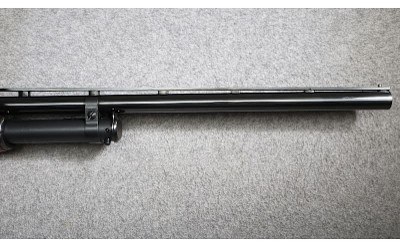 Browning ~ 12 ~ 20 Gauge - Image 5 of 10