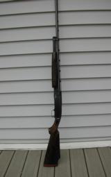 Black Diamond Trap - 7 of 8