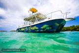 World Class Fishing Dominican Republic, Goldin Dolphin Villa - 11 of 10