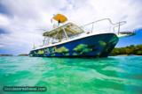 World Class Fishing Dominican Republic, Goldin Dolphin Villa - 9 of 10