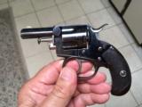 Webley - 2 of 12