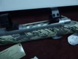 KIMBER 84L MOUNTAIN ASCENT .270 WIN. - AS NEW IN BOX WITH TALLEY RINGS - 10 of 12