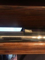 Light Twelve - 8 of 11