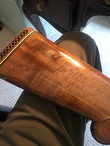 Light Twelve - 9 of 11