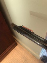 Light Twelve - 5 of 11