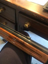 Light Twelve - 4 of 11