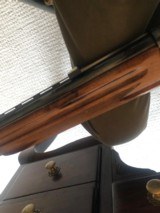 Light Twelve - 11 of 11