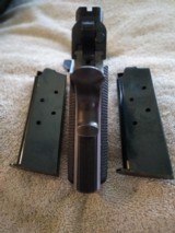 SPRINGFIELD ARMORY V-10 .45 ACP - 9 of 20